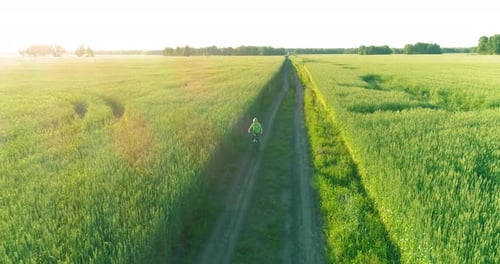Aerial View on Young Boy That Rides a Bicycle Thru a Wheat Grass Field on the Old Rural Road