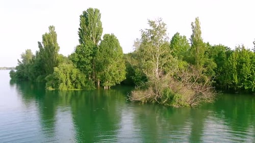 Aerial view of water reservoir with green trees