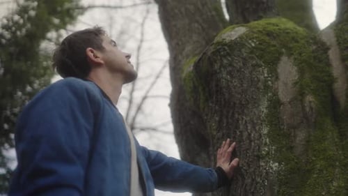 Hombre mirando un árbol