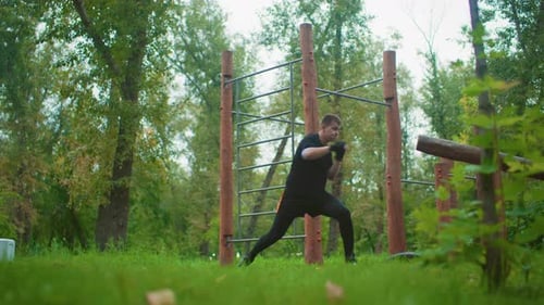 Woodland Boxing Practice Forested Area Shadow Boxing Morning Training Amid Tall Trees and Green