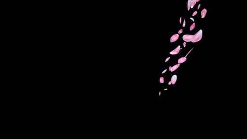 Graceful Pink Petals Falling Fluid Overlay
