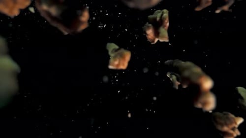 Slow Motion Capture of Fresh Walnuts Being Tossed in the Air Against Dark Background