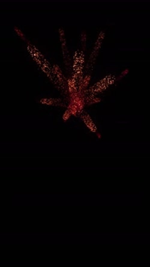 Aerial Sparks Explosion (17)