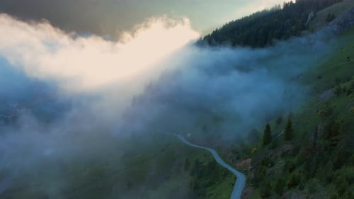 Road In The Foggy Mountain Forest