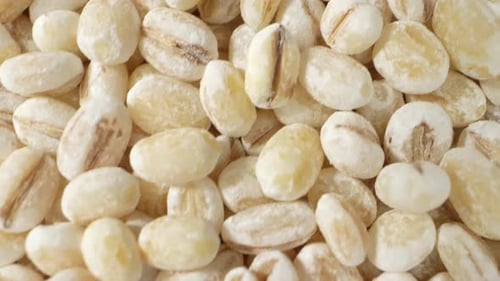Barley seeds without hulls