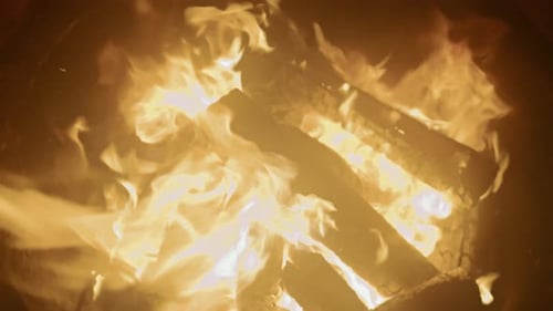 Chopped Wood Burning in Fire at Camp Site at Night