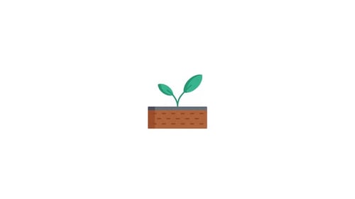 Animated Flat Design Plant Growth