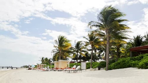 Tropical beach paradise with swaying palm trees and lounges for summer vacation