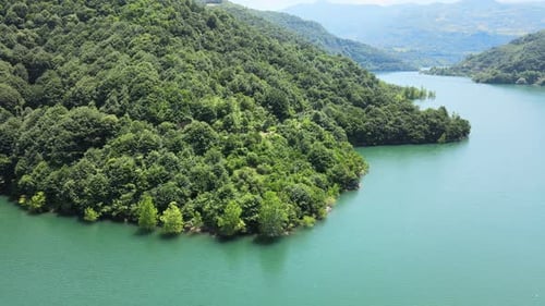 aerial lake forest panoramic view