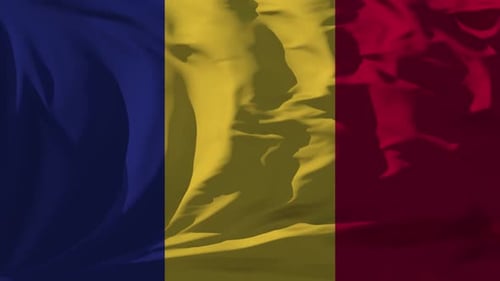 Realistic Fabric Waving Flag Vertical Animation