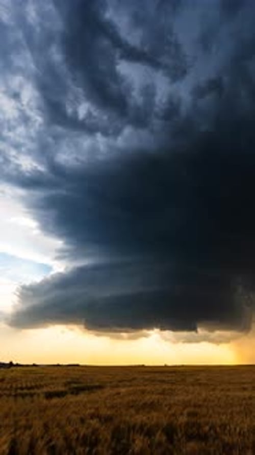 Wheat Field Under Stormy Sky at Sunset