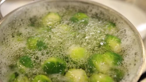 Stovetop Boiling Water Stove Brussels Cooking