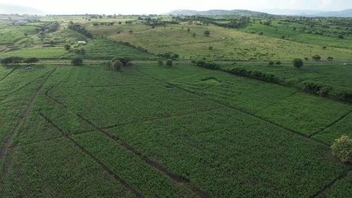 Landschaft der Insel Sumbawa
