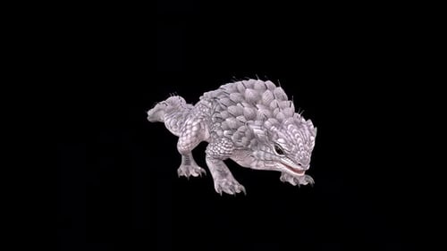 Spiny Lizard Idle