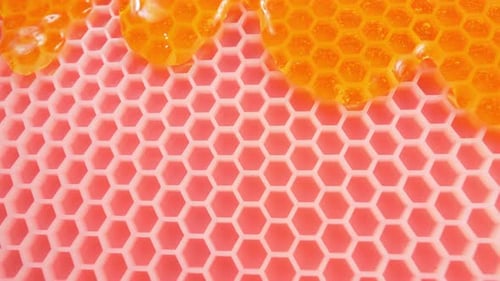 Honeycomb and Honey