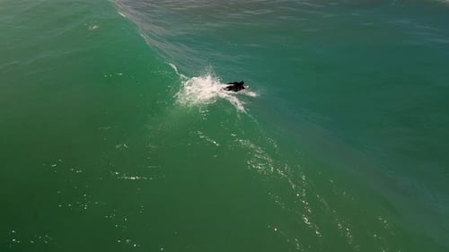 Surfer Rides Big Wave in Vietnam During Sunset
