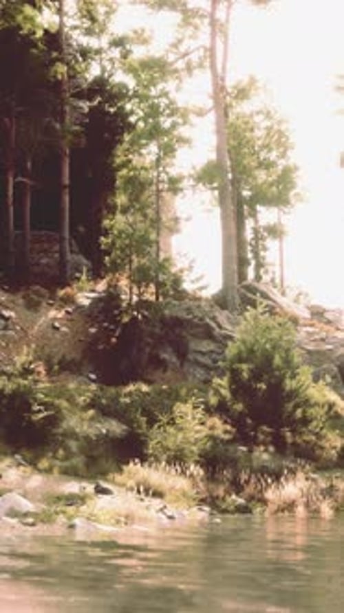 Realistic Vertical Forest River Scene with Pine Trees