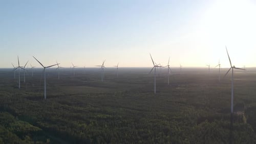 Wind Turbines Spinning in a Forest Landscape