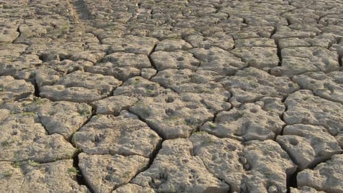 Cracked Dry Earth During the Daytime