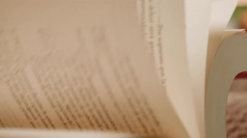 Frau blättert deutschsprachige Buchseiten durch Lesen und Bildung blättert durch altes Lehrbuch