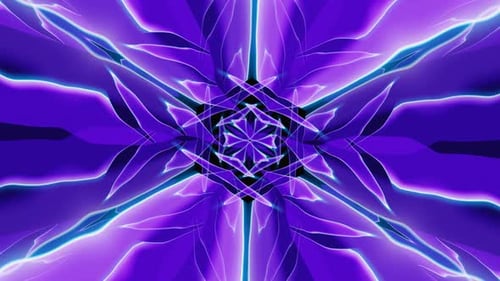 Flash Purple Neon Flower Ornament Vj Loop Animation