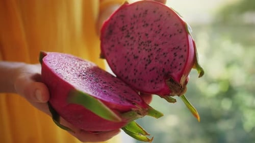 Vibrant Dragon Fruit Halved and Held