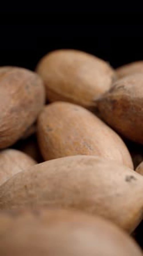 Vertical video. Pile of unshelled pecans rotating on a black background, looping promotional screen.
