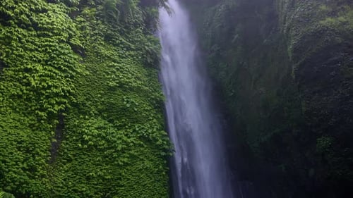 Tropical Waterfall Cascading Down Lush Green Cliff