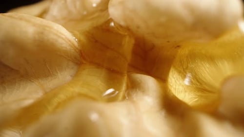 The texture of a walnut with honey slowly flowing through its crevices. Extreme macro shot.