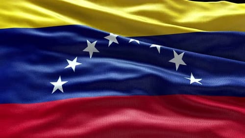 Realistic Waving Flag of Venezuela Loop Animation