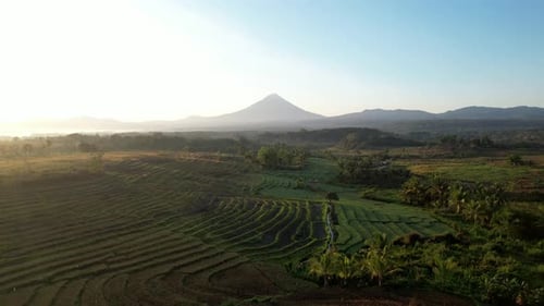 Mount Ebulobo Volcano Over Terraced Farmland at Sunrise