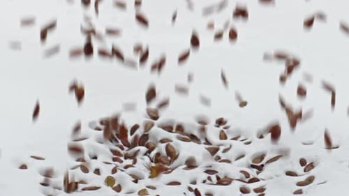 Healthy flax seeds falling into fresh creamy yogurt in super slow motion