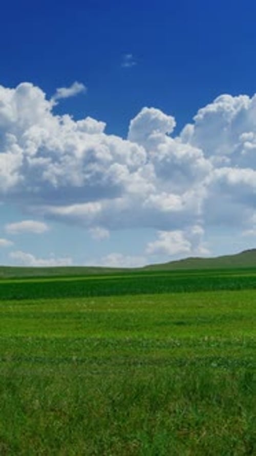 Green hill with grass under cloudy sky, timelapse