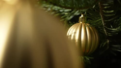Golden Christmas Ornaments Hanging on Pine Tree