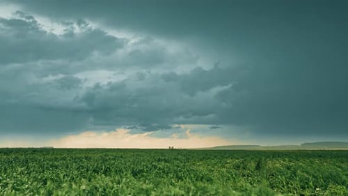 Cloudy Rainy Sky Dramatic Sky With Dark Clouds In Rain Day Storm And Clouds Above Summer Maize Corn