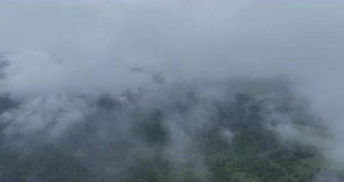 Overhead View of Green Forest with Low Clouds