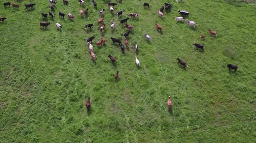 Belle vue aérienne d'un Drone au-dessus d'un champ d'étable