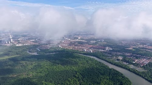 Aerial view of mangrove forest under cloudy skies.