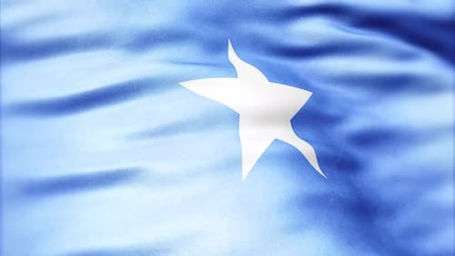 Realistic Waving Somalia National Flag Loop