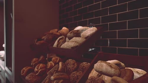 Assorted Types of Bread Displayed on Store Shelves