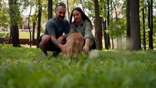 portrait of a young couple in love walking in the park with their pet kissing him love for dogs care