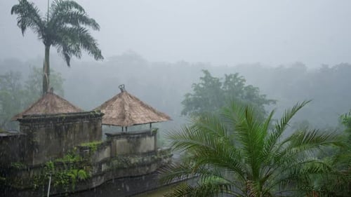 Heavy Rain on a Village House in the Middle of a Forest View From a Hotel Window