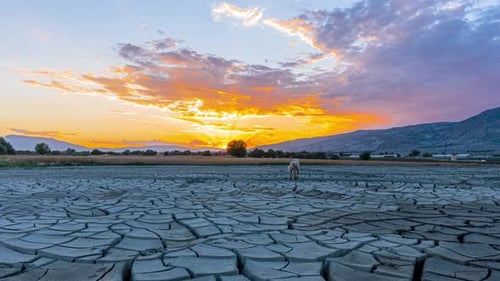 Klimawandel und Ökologie