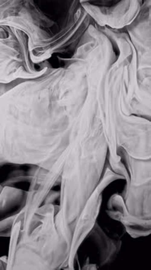 Ink Vertical Shoot - 2K