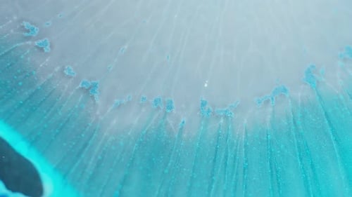 Abstract turquoise paint macro zoom out background