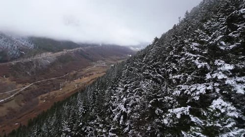 Aerial Drone Footage Over Dense Fog in the Forest in Pyrenees Mountains Baqueira Beret Catalonia