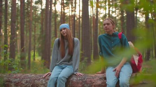 Friends Relaxing on Fallen Tree in Serene Forest
