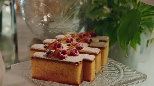 Delicious Sliced Sponge Cake Garnished with Berries and Citrus