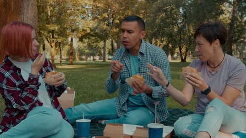 Friends Enjoy Picnic Lunch Together in Sunny Park