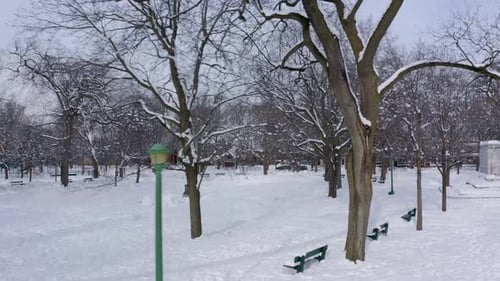 Camera following a path in a public park in winter